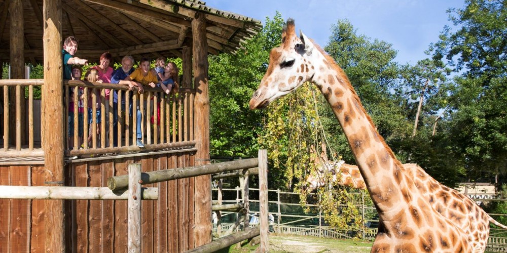 Espace animalier