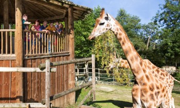 Espace animalier