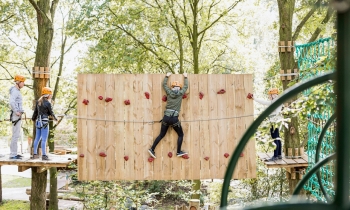 Des visiteurs traversent un mur d'escalade qui est une des épreuves du parcours d'accrobranche.