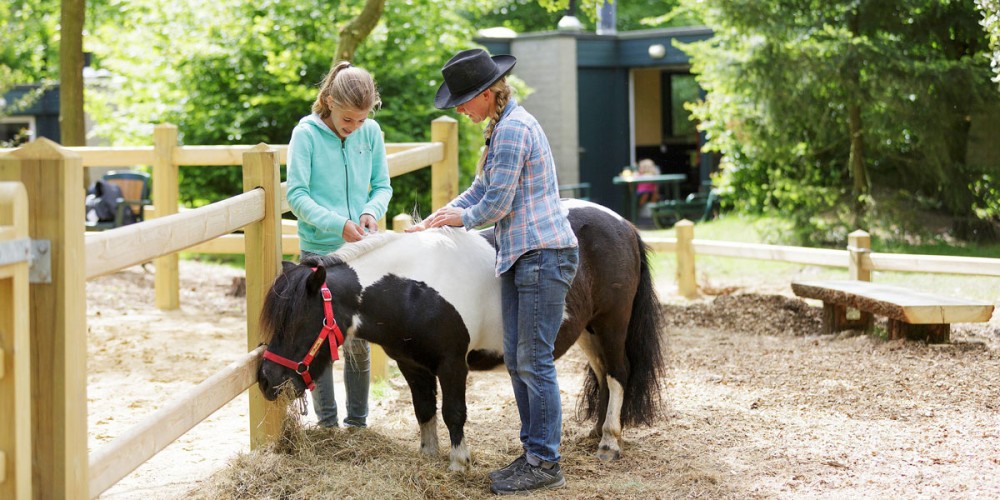 Balade à poneys