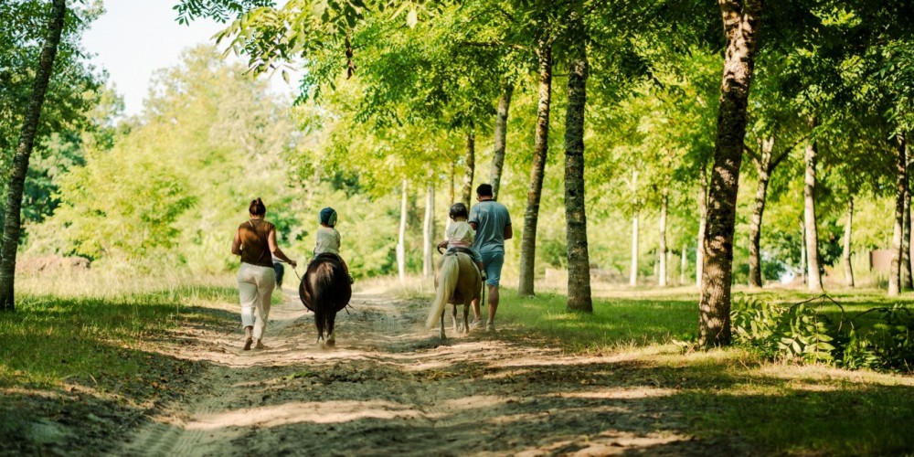 Balade à poney