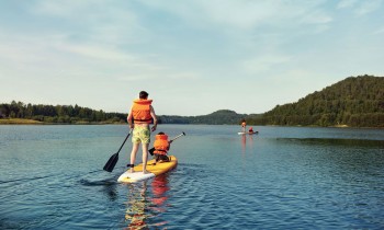 Paddle