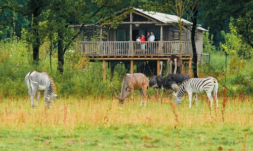 Les lodges sont installés au coeur d'espaces animaliers