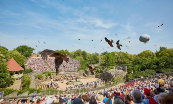 Le Grand Parc revisite les spectacles de fauconnerie avec le Bal des Oiseaux Fantômes